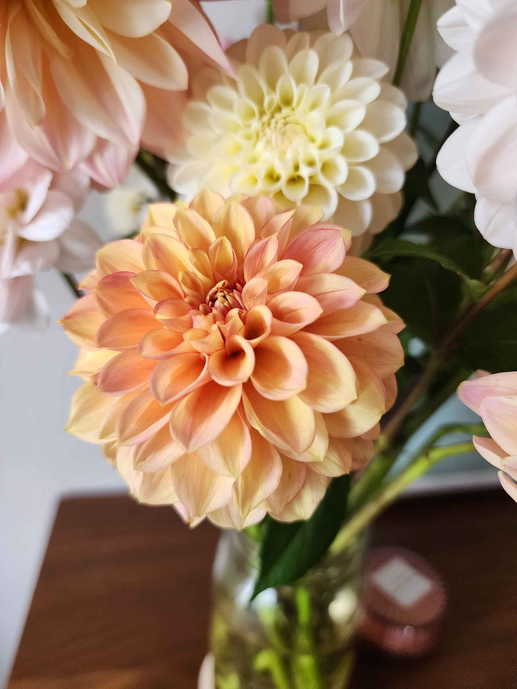 lakeview lucky dahlia in bouquet